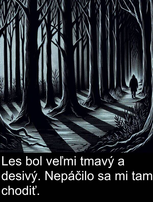 desivý: Les bol veľmi tmavý a desivý. Nepáčilo sa mi tam chodiť.