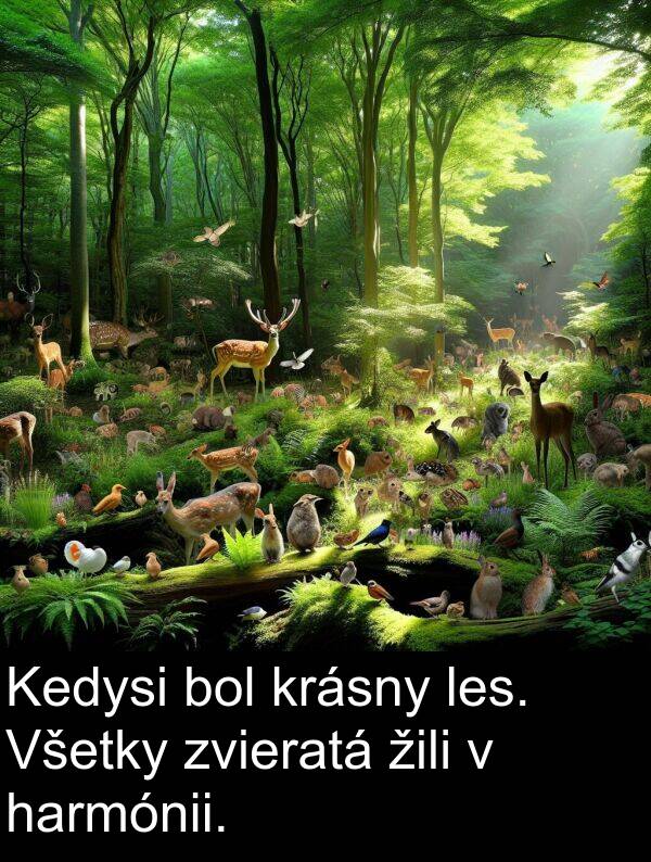 les: Kedysi bol krásny les. Všetky zvieratá žili v harmónii.
