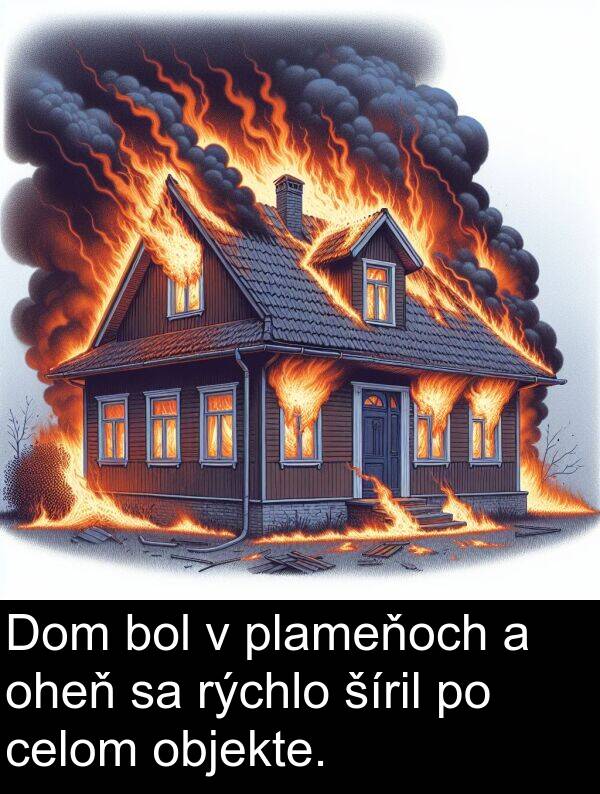 celom: Dom bol v plameňoch a oheň sa rýchlo šíril po celom objekte.