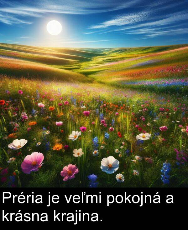 krásna: Préria je veľmi pokojná a krásna krajina.