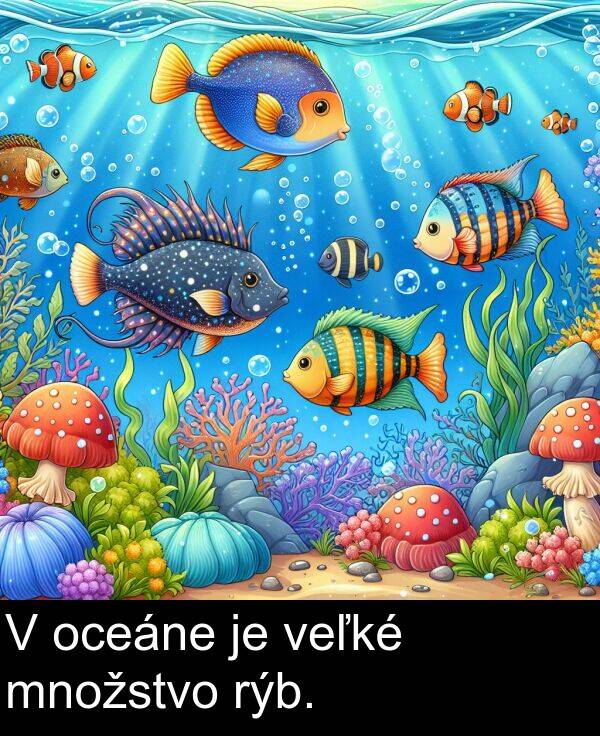 rýb: V oceáne je veľké množstvo rýb.