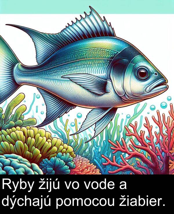vode: Ryby žijú vo vode a dýchajú pomocou žiabier.