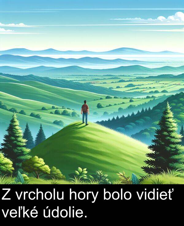 vrcholu: Z vrcholu hory bolo vidieť veľké údolie.