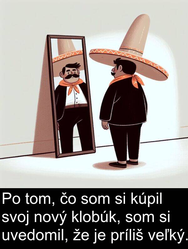 veľký: Po tom, čo som si kúpil svoj nový klobúk, som si uvedomil, že je príliš veľký.