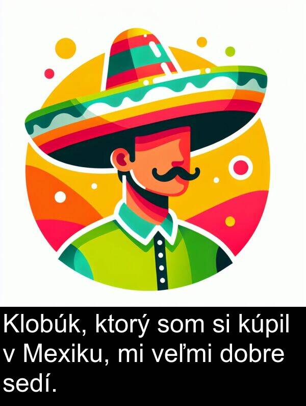 ktorý: Klobúk, ktorý som si kúpil v Mexiku, mi veľmi dobre sedí.