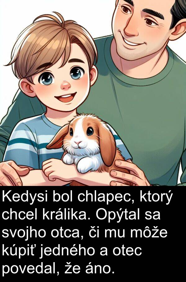 jedného: Kedysi bol chlapec, ktorý chcel králika. Opýtal sa svojho otca, či mu môže kúpiť jedného a otec povedal, že áno.