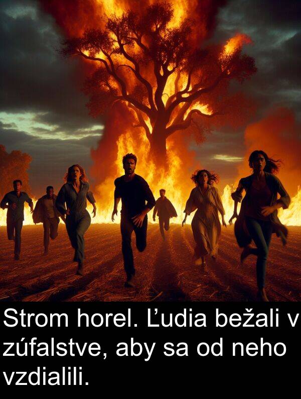 neho: Strom horel. Ľudia bežali v zúfalstve, aby sa od neho vzdialili.