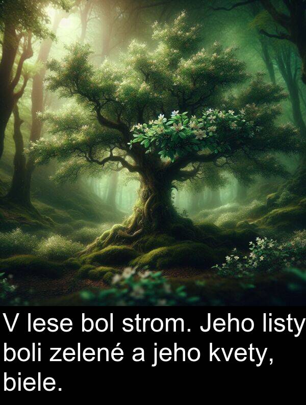 lese: V lese bol strom. Jeho listy boli zelené a jeho kvety, biele.