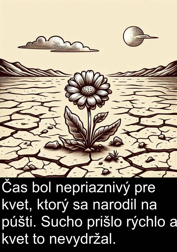 rýchlo: Čas bol nepriaznivý pre kvet, ktorý sa narodil na púšti. Sucho prišlo rýchlo a kvet to nevydržal.