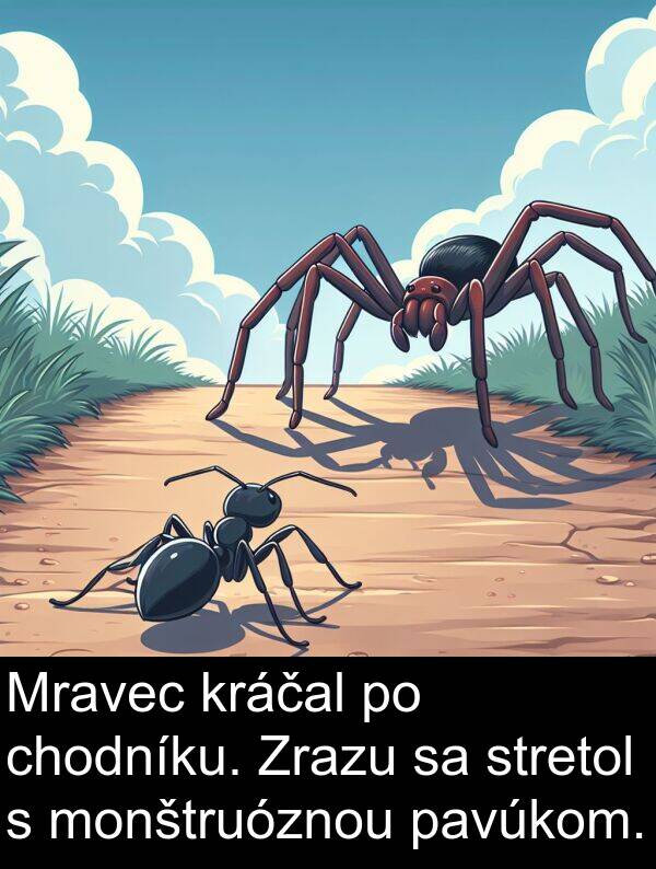 stretol: Mravec kráčal po chodníku. Zrazu sa stretol s monštruóznou pavúkom.