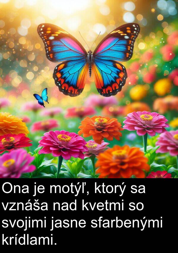 nad: Ona je motýľ, ktorý sa vznáša nad kvetmi so svojimi jasne sfarbenými krídlami.