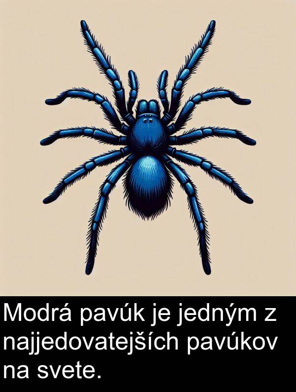 svete: Modrá pavúk je jedným z najjedovatejších pavúkov na svete.