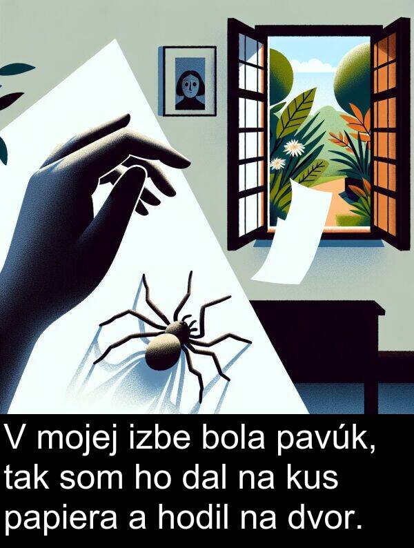 mojej: V mojej izbe bola pavúk, tak som ho dal na kus papiera a hodil na dvor.