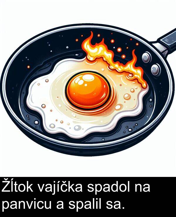 vajíčka: Žĺtok vajíčka spadol na panvicu a spalil sa.