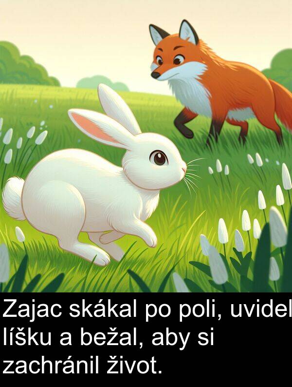 bežal: Zajac skákal po poli, uvidel líšku a bežal, aby si zachránil život.