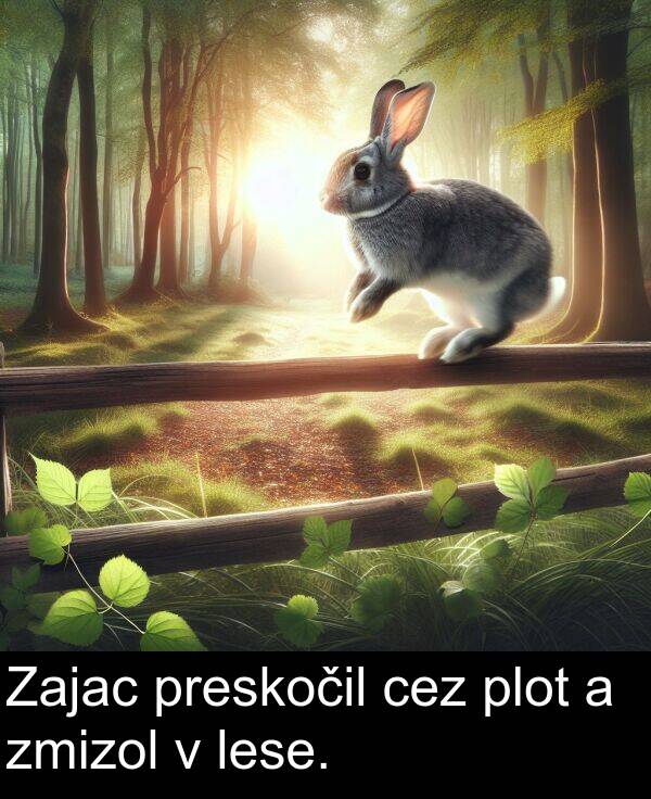 lese: Zajac preskočil cez plot a zmizol v lese.