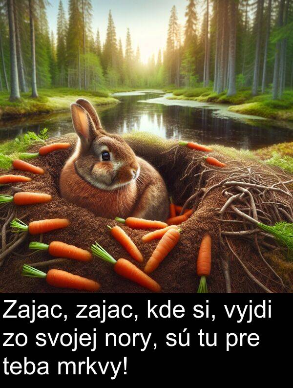nory: Zajac, zajac, kde si, vyjdi zo svojej nory, sú tu pre teba mrkvy!