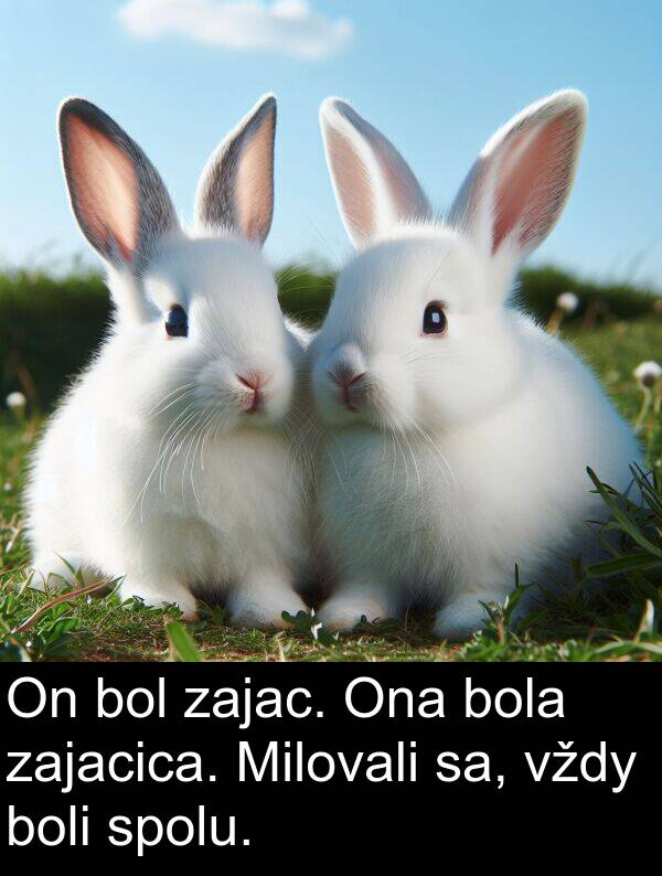 sa: On bol zajac. Ona bola zajacica. Milovali sa, vždy boli spolu.
