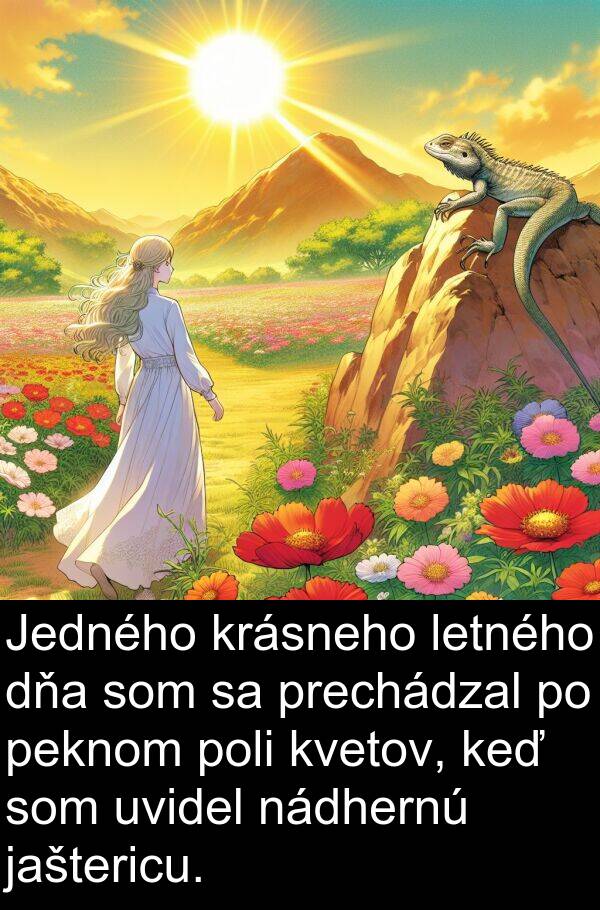 jaštericu: Jedného krásneho letného dňa som sa prechádzal po peknom poli kvetov, keď som uvidel nádhernú jaštericu.