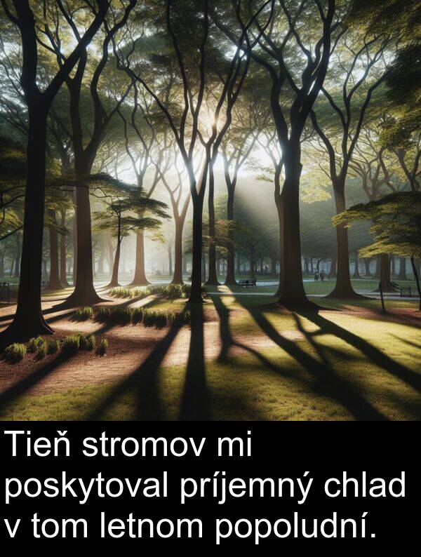 letnom: Tieň stromov mi poskytoval príjemný chlad v tom letnom popoludní.