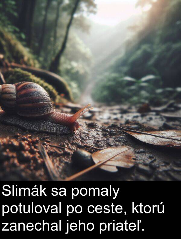 ceste: Slimák sa pomaly potuloval po ceste, ktorú zanechal jeho priateľ.