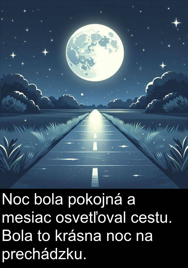 noc: Noc bola pokojná a mesiac osvetľoval cestu. Bola to krásna noc na prechádzku.