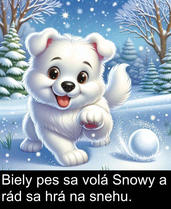 snehu: Biely pes sa volá Snowy a rád sa hrá na snehu.