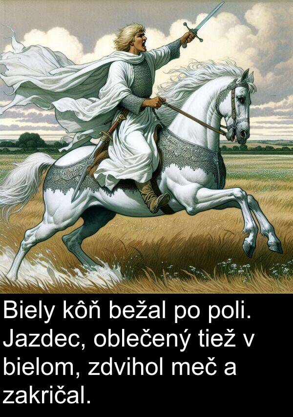oblečený: Biely kôň bežal po poli. Jazdec, oblečený tiež v bielom, zdvihol meč a zakričal.