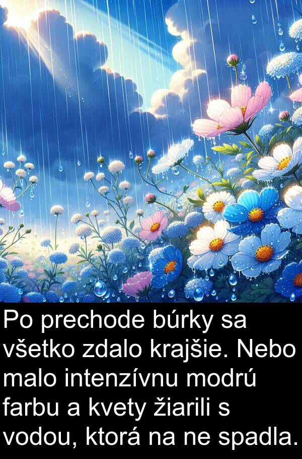 vodou: Po prechode búrky sa všetko zdalo krajšie. Nebo malo intenzívnu modrú farbu a kvety žiarili s vodou, ktorá na ne spadla.