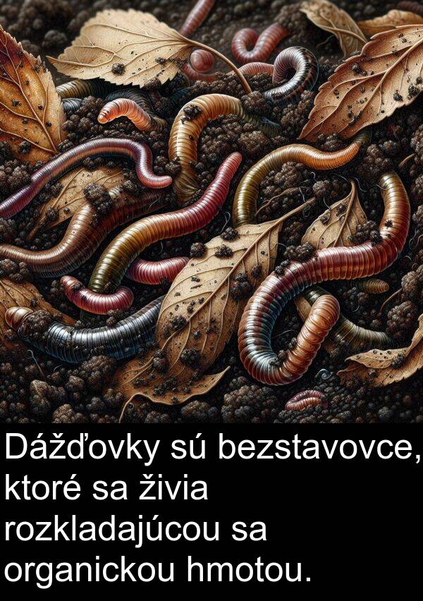organickou: Dážďovky sú bezstavovce, ktoré sa živia rozkladajúcou sa organickou hmotou.