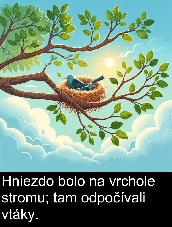 vrchole: Hniezdo bolo na vrchole stromu; tam odpočívali vtáky.