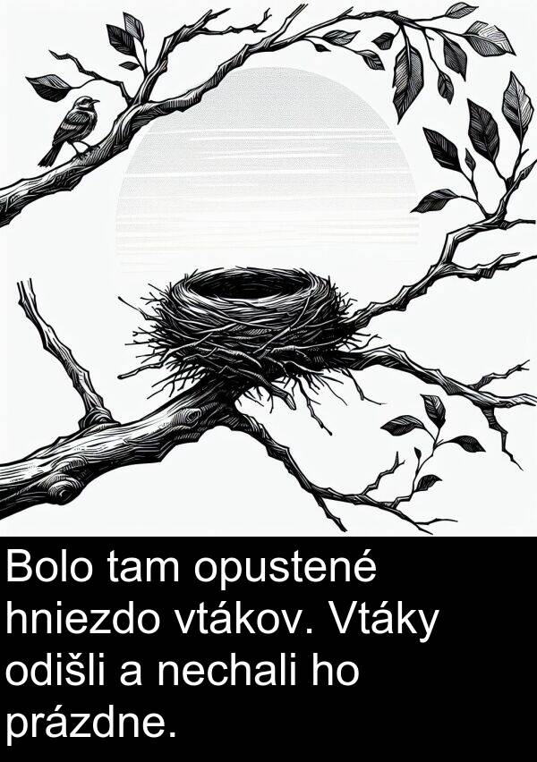 nechali: Bolo tam opustené hniezdo vtákov. Vtáky odišli a nechali ho prázdne.