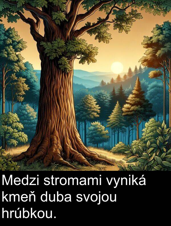 vyniká: Medzi stromami vyniká kmeň duba svojou hrúbkou.