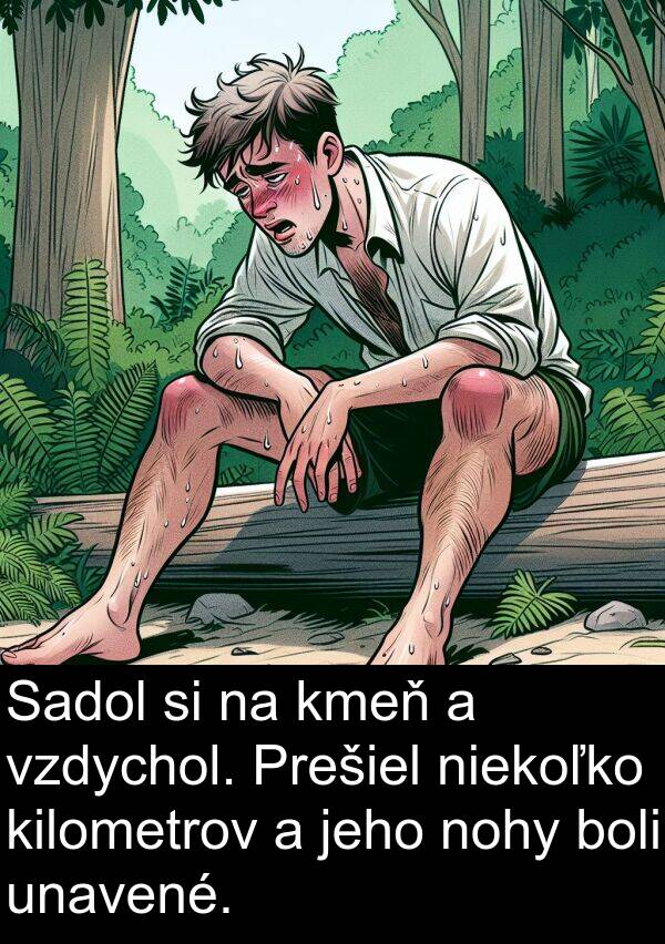 niekoľko: Sadol si na kmeň a vzdychol. Prešiel niekoľko kilometrov a jeho nohy boli unavené.