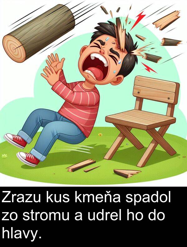 stromu: Zrazu kus kmeňa spadol zo stromu a udrel ho do hlavy.