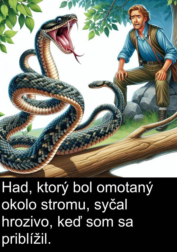 stromu: Had, ktorý bol omotaný okolo stromu, syčal hrozivo, keď som sa priblížil.