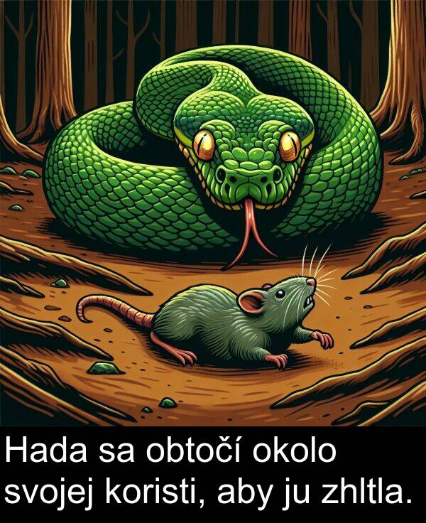 koristi: Hada sa obtočí okolo svojej koristi, aby ju zhltla.