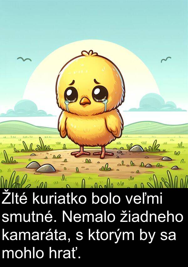 smutné: Žlté kuriatko bolo veľmi smutné. Nemalo žiadneho kamaráta, s ktorým by sa mohlo hrať.