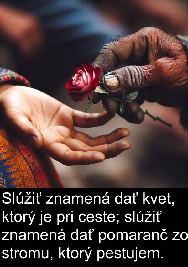ceste: Slúžiť znamená dať kvet, ktorý je pri ceste; slúžiť znamená dať pomaranč zo stromu, ktorý pestujem.