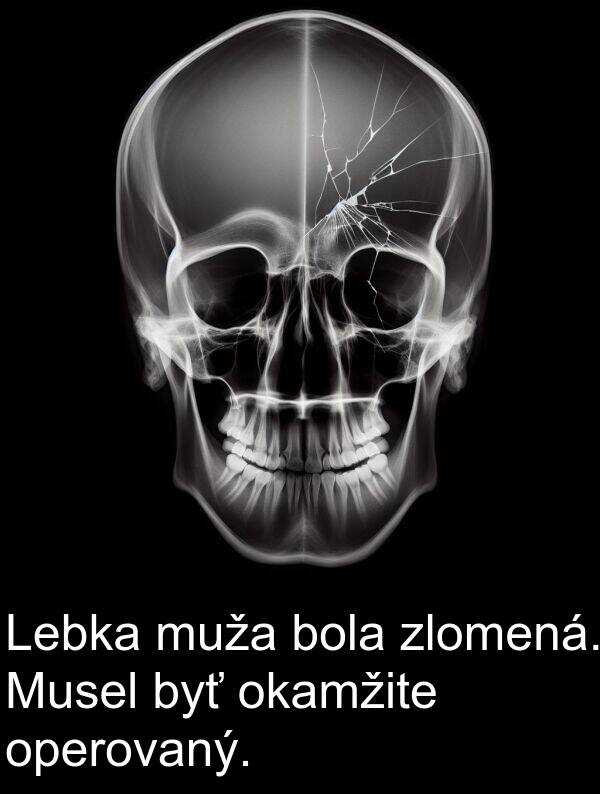 muža: Lebka muža bola zlomená. Musel byť okamžite operovaný.