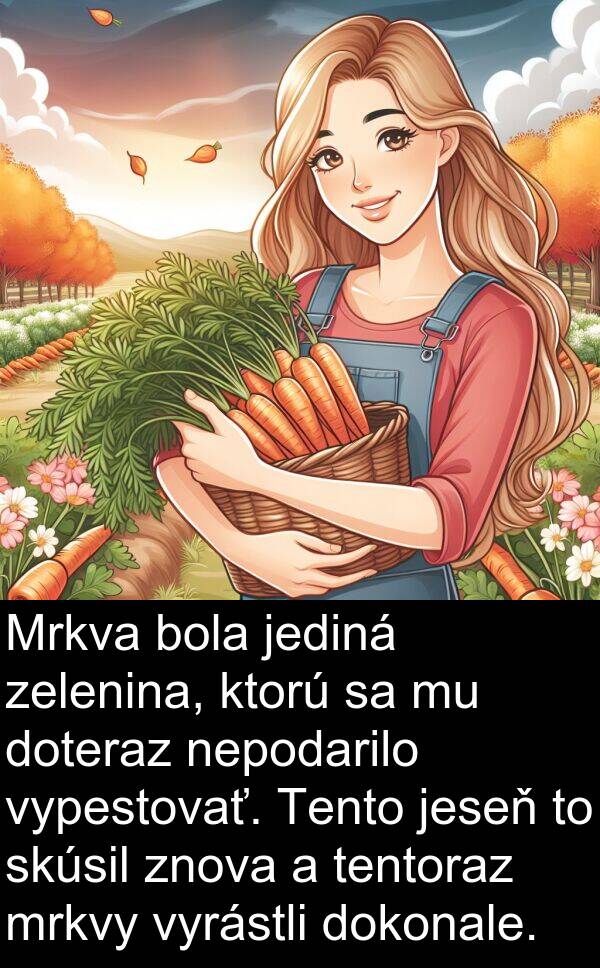 jediná: Mrkva bola jediná zelenina, ktorú sa mu doteraz nepodarilo vypestovať. Tento jeseň to skúsil znova a tentoraz mrkvy vyrástli dokonale.