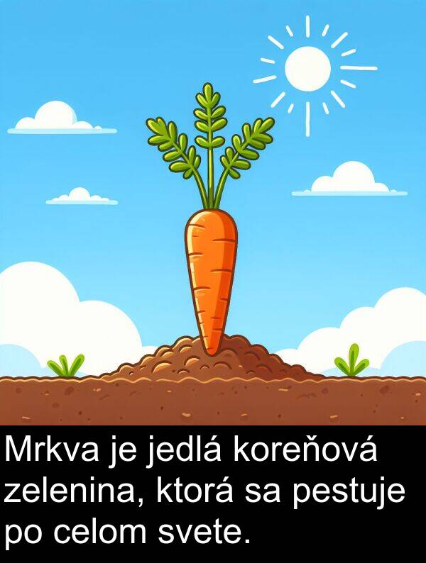 jedlá: Mrkva je jedlá koreňová zelenina, ktorá sa pestuje po celom svete.