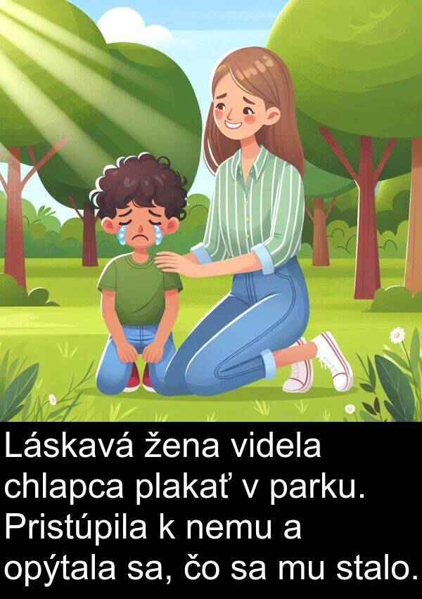 sa: Láskavá žena videla chlapca plakať v parku. Pristúpila k nemu a opýtala sa, čo sa mu stalo.