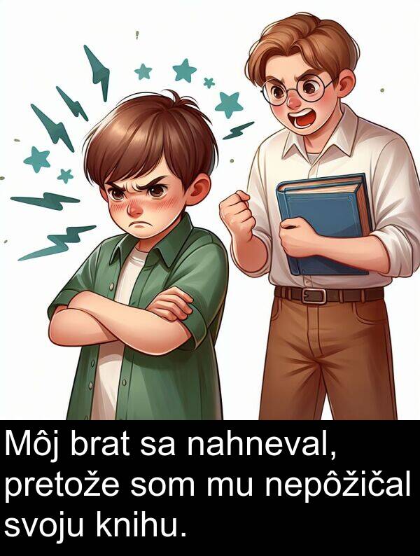 knihu: Môj brat sa nahneval, pretože som mu nepôžičal svoju knihu.