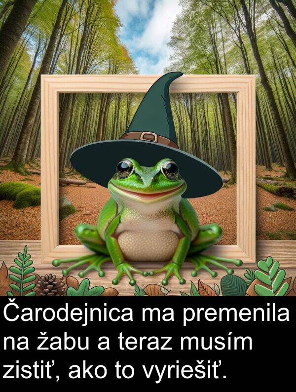 vyriešiť: Čarodejnica ma premenila na žabu a teraz musím zistiť, ako to vyriešiť.