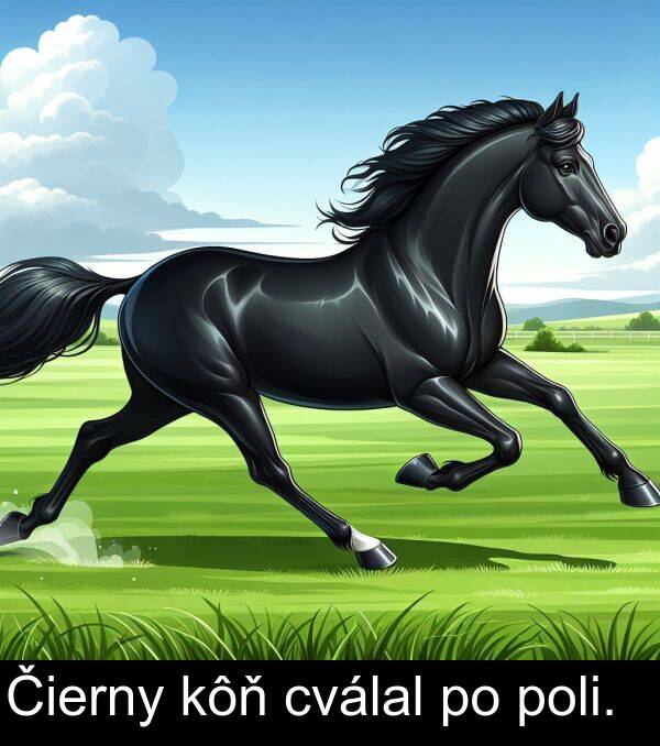 cválal: Čierny kôň cválal po poli.