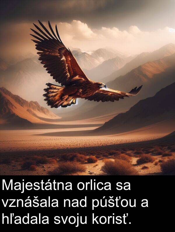 nad: Majestátna orlica sa vznášala nad púšťou a hľadala svoju korisť.