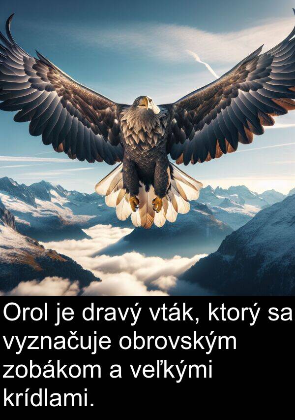veľkými: Orol je dravý vták, ktorý sa vyznačuje obrovským zobákom a veľkými krídlami.