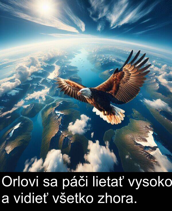 vysoko: Orlovi sa páči lietať vysoko a vidieť všetko zhora.