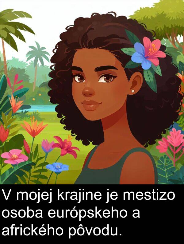 afrického: V mojej krajine je mestizo osoba európskeho a afrického pôvodu.